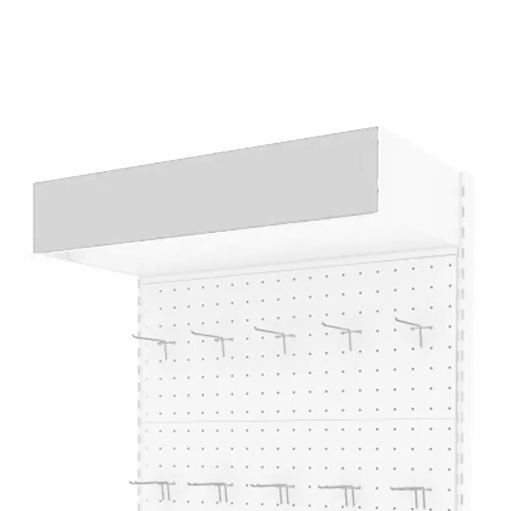 ТС Панель козырька 1000 (RAL 9016 белый глянец)