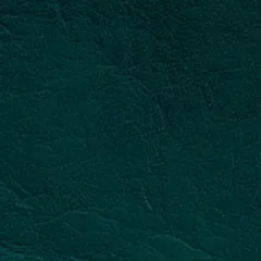 PV-5 кож.зам темно-зеленый 