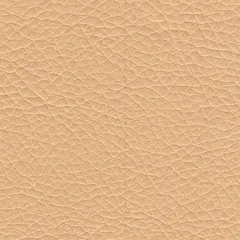 BEIGE бежевый искусственная кожа 