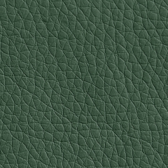 Oregon 01 темно-зеленый