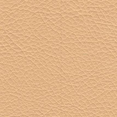 BEIGE бежевый искусственная кожа 